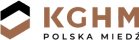 KGHM MIEDZ 1.png